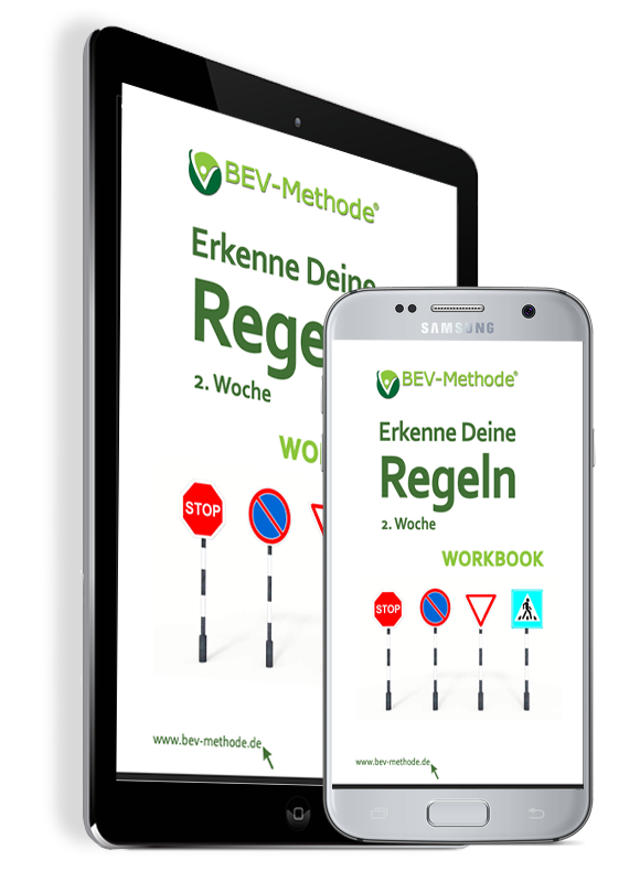 Erkenne deine Regeln