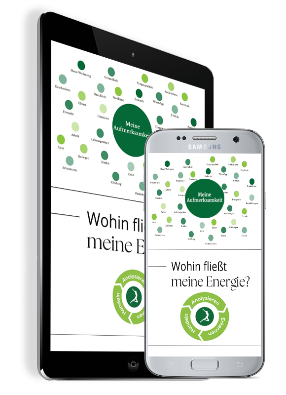 B-Modul: Wohin fließt meine Energie