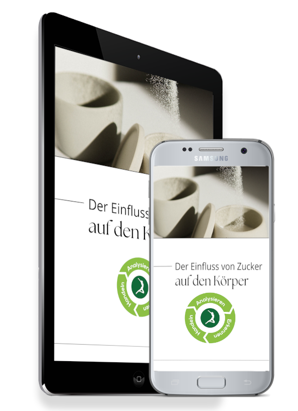 Modul: Einfluss von Zucker auf den Körper